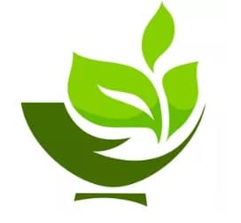 Main page