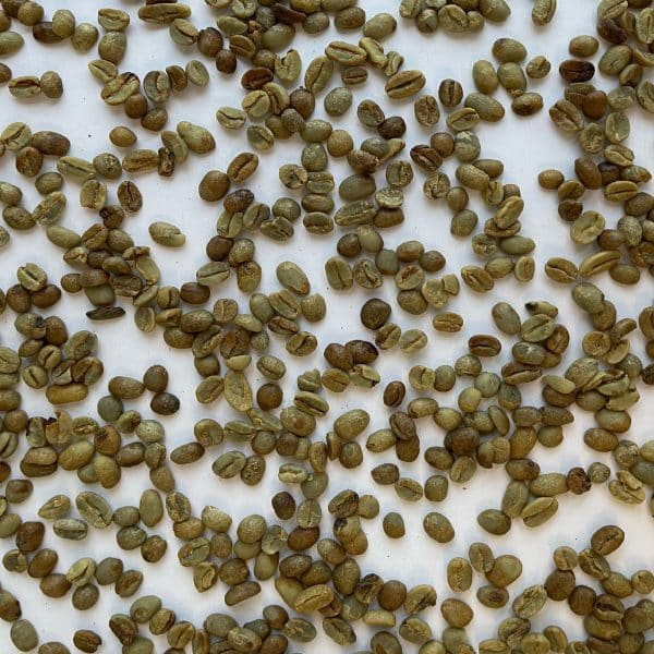 Green coffee Gakenke Natural 15+_3