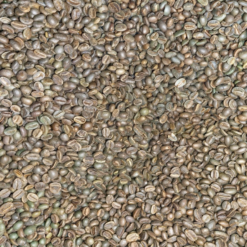 Green coffee Nyamasheke FW15+_1