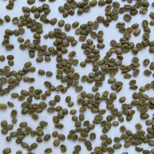 Green coffee Gicumbi FW15+_3