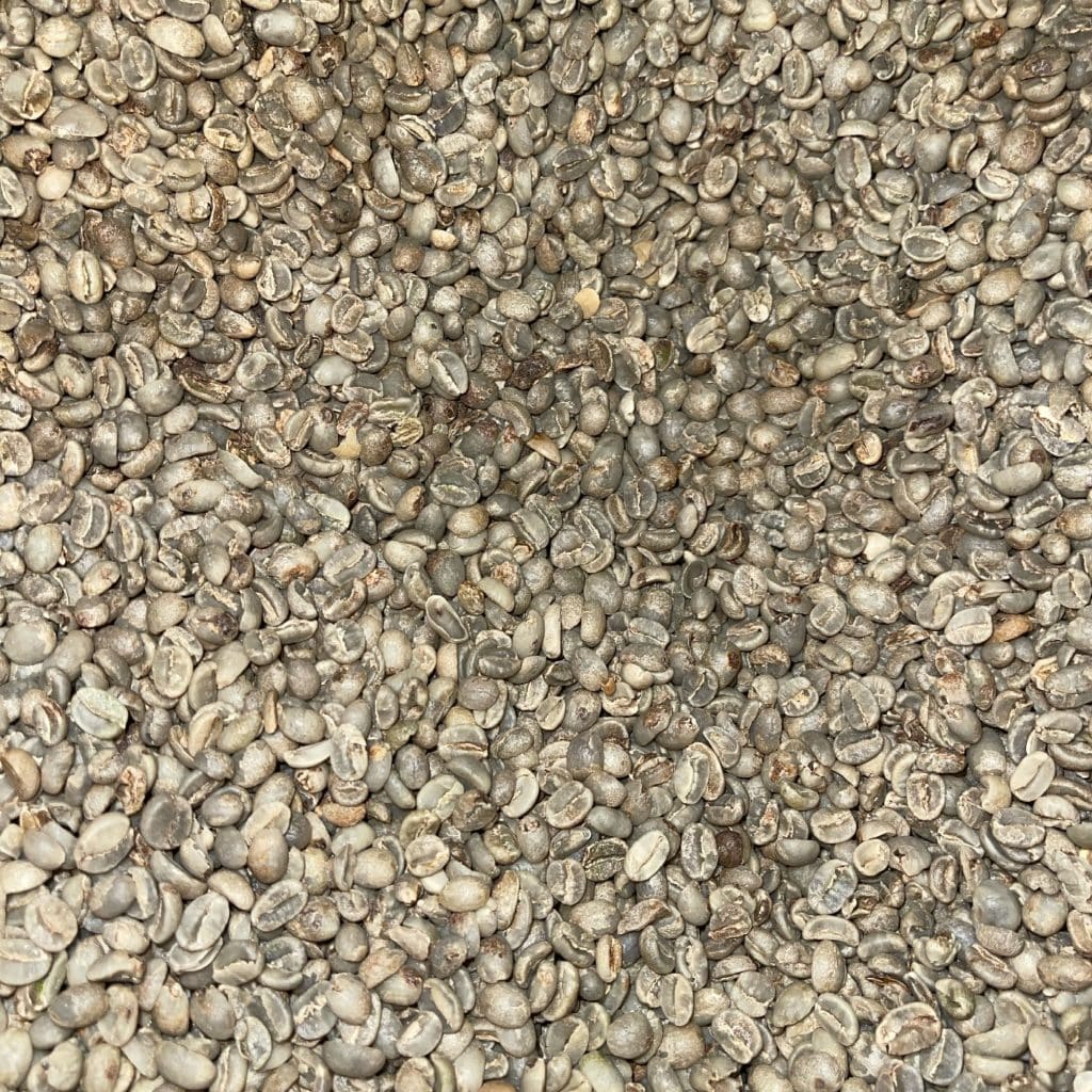 Green coffee Gisagara FW15+_1