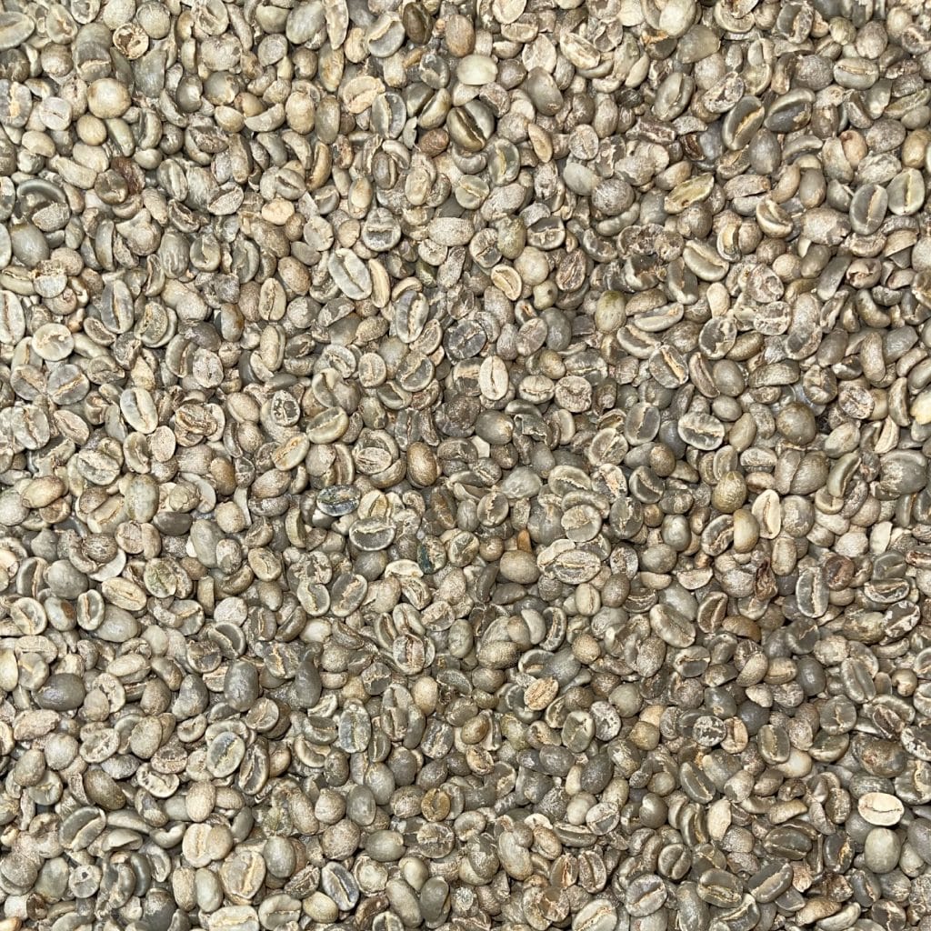 Green coffee Sholi SW14+_1