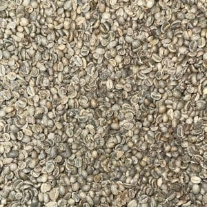 Green coffee Sholi SW14+_1