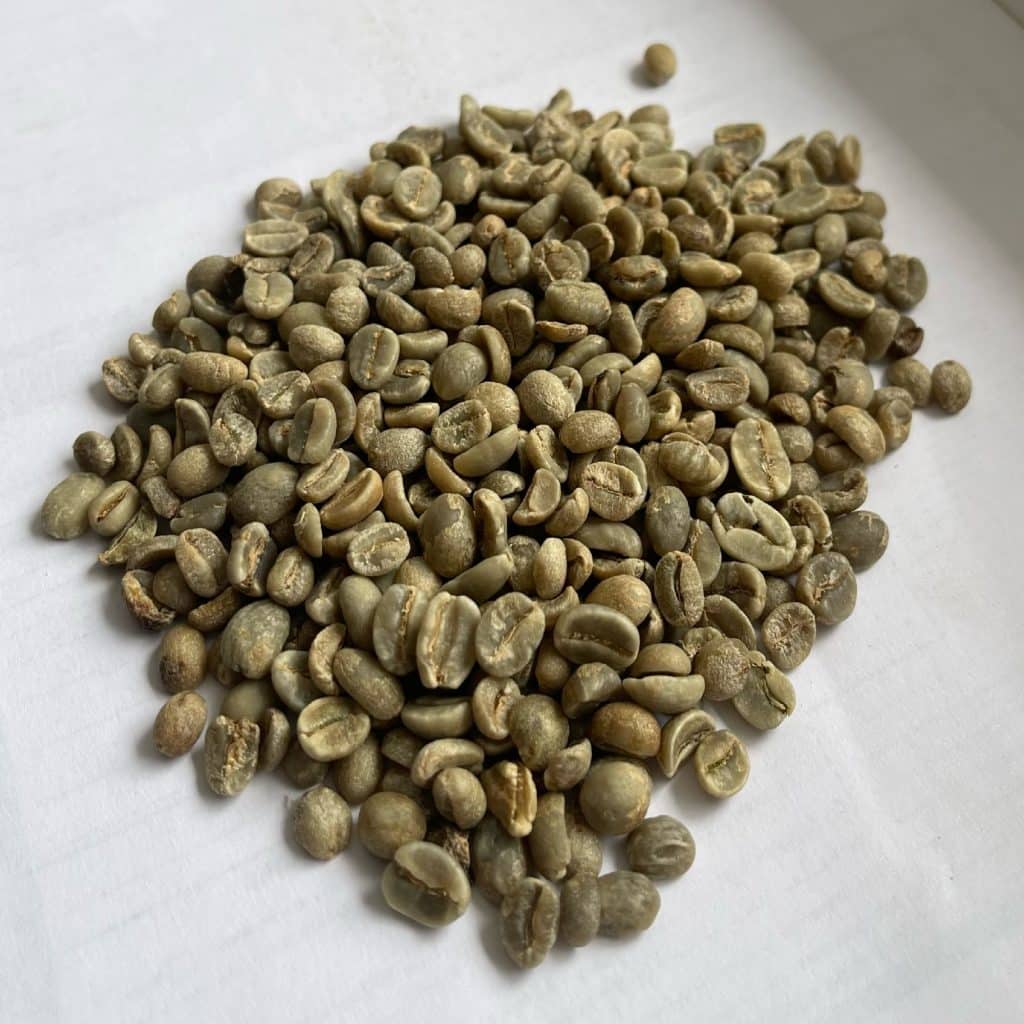 Green coffee Sholi SW14+_2