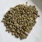 Green coffee Sholi SW14+_2