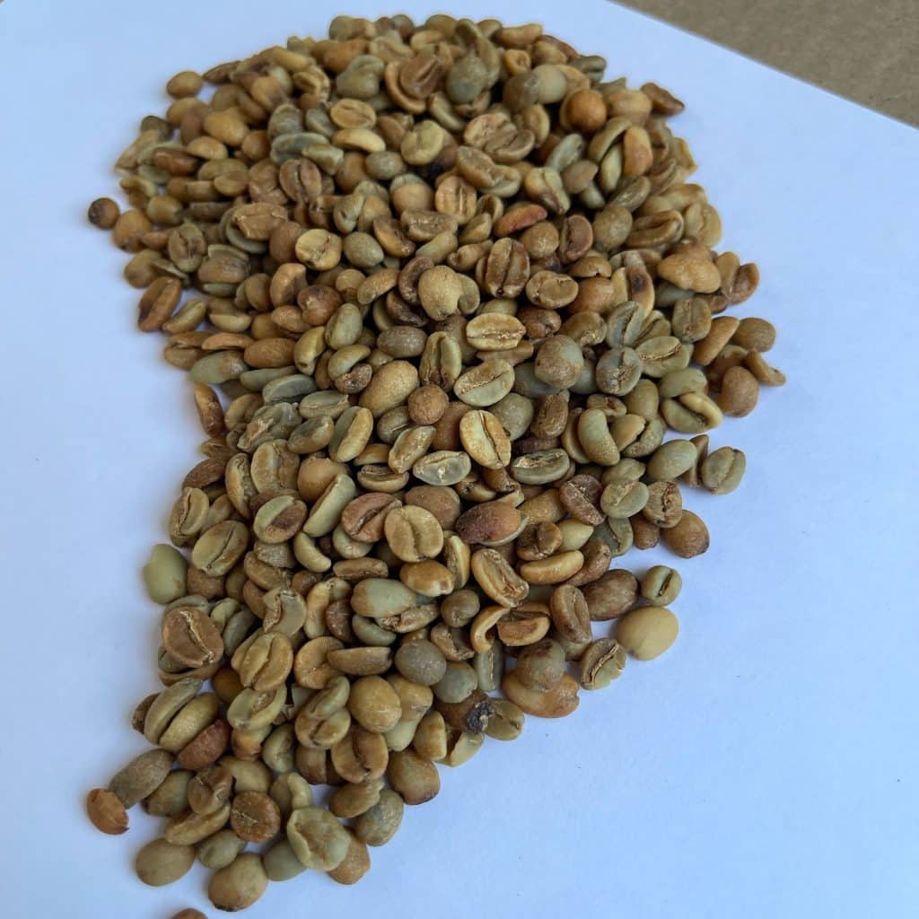 Green coffee arabica Rulindo Natural 15+_2