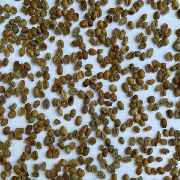 Green coffee arabica Rulindo Natural 15+_3