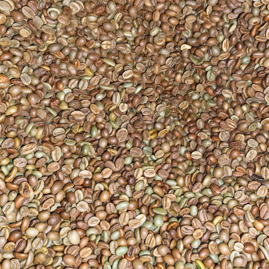 Green coffee Byumba Natural 15+_1