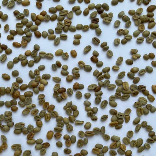 Green coffee Byumba Natural 15+_3