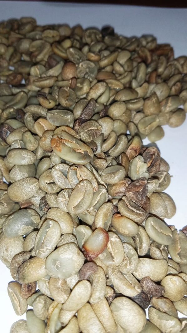 Asaro Natural 15 (Y3)